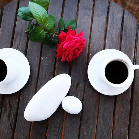 Dom wakacyjny Achelatis Traditional