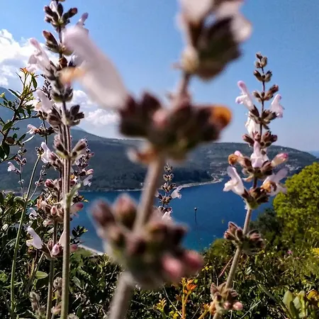 Dom wakacyjny Achelatis Traditional