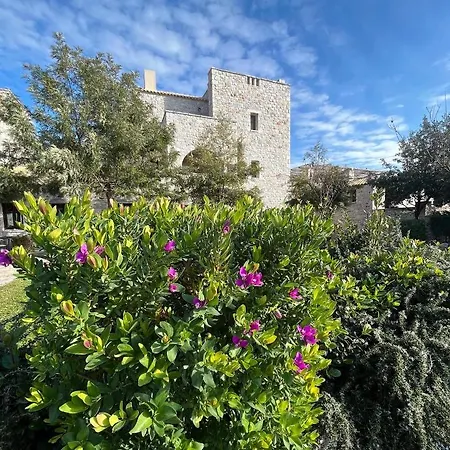 Achelatis Traditional