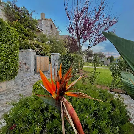 Achelatis Traditional Areopoli