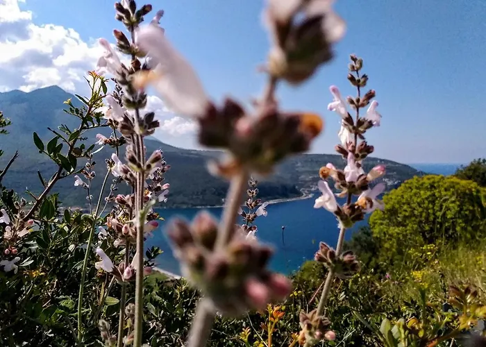 Semesterbostad Achelatis Traditional