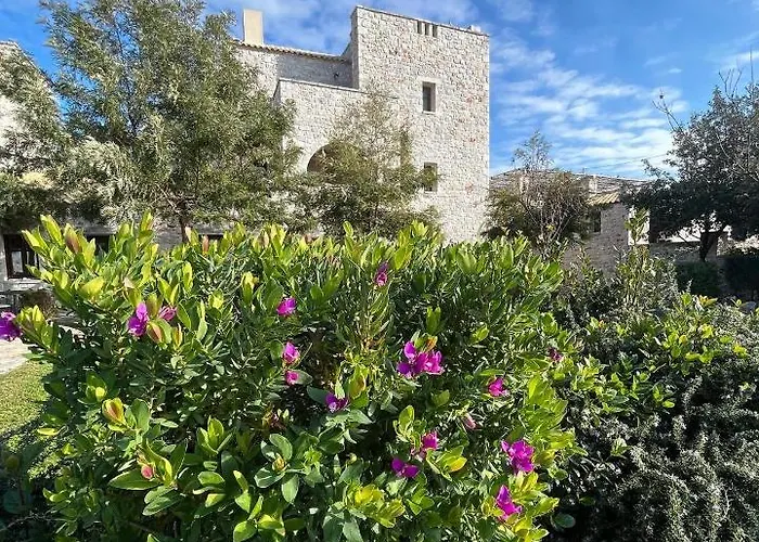 Achelatis Traditional