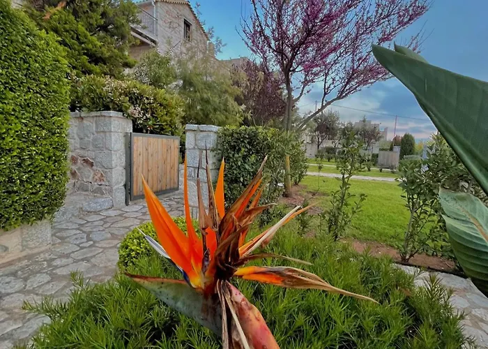 Achelatis Traditional Areopoli